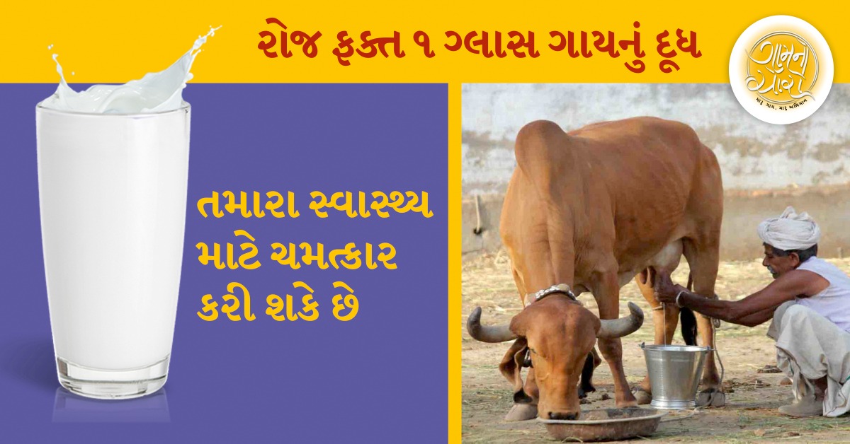 milk-cow-health