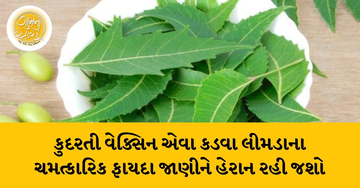 neem benefits