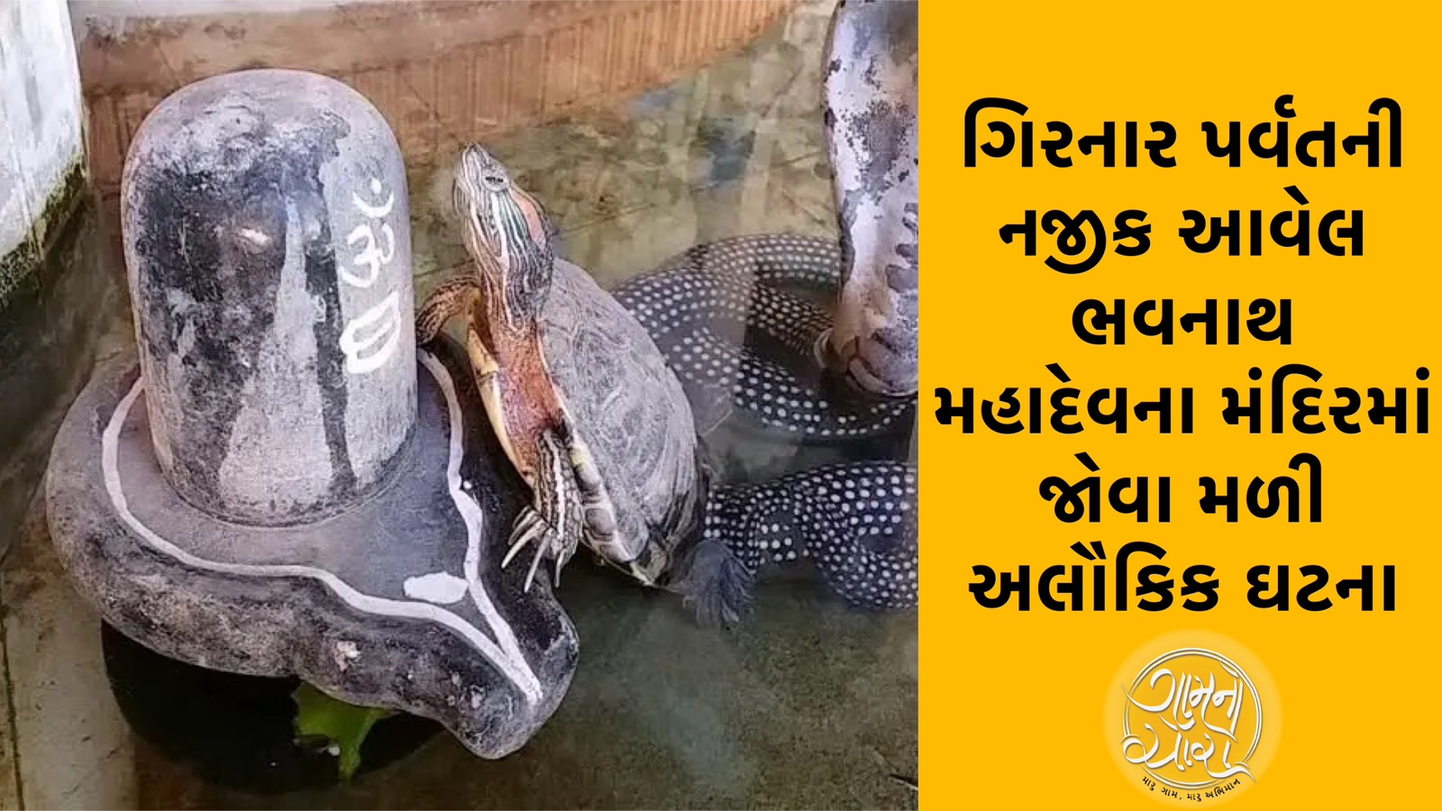 Bhavnath Mahadev