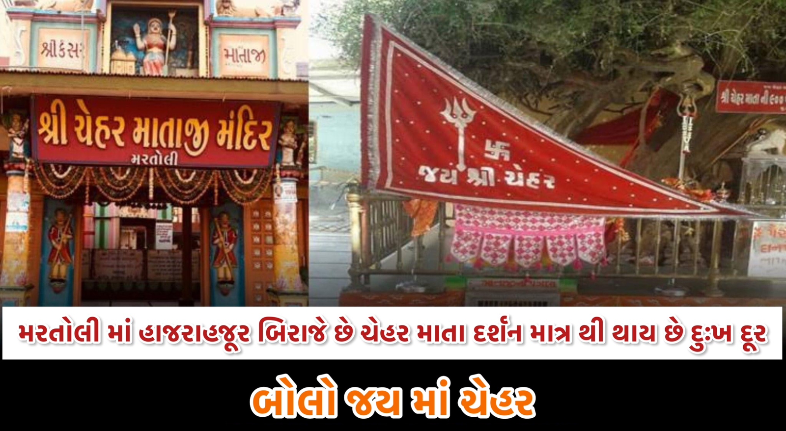 jay chehar ma
