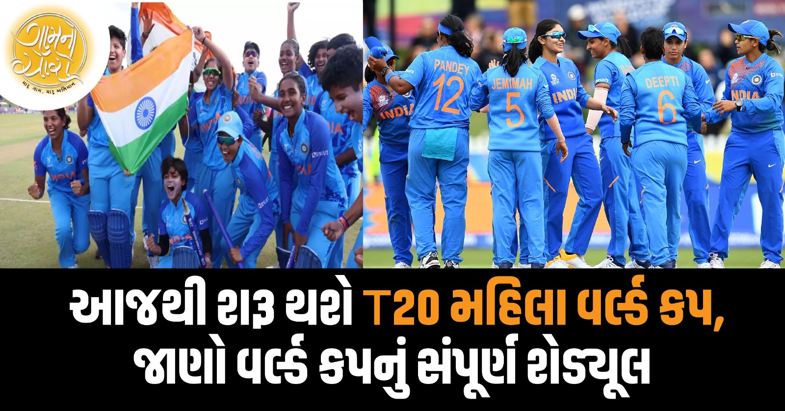 women's cricket world cup