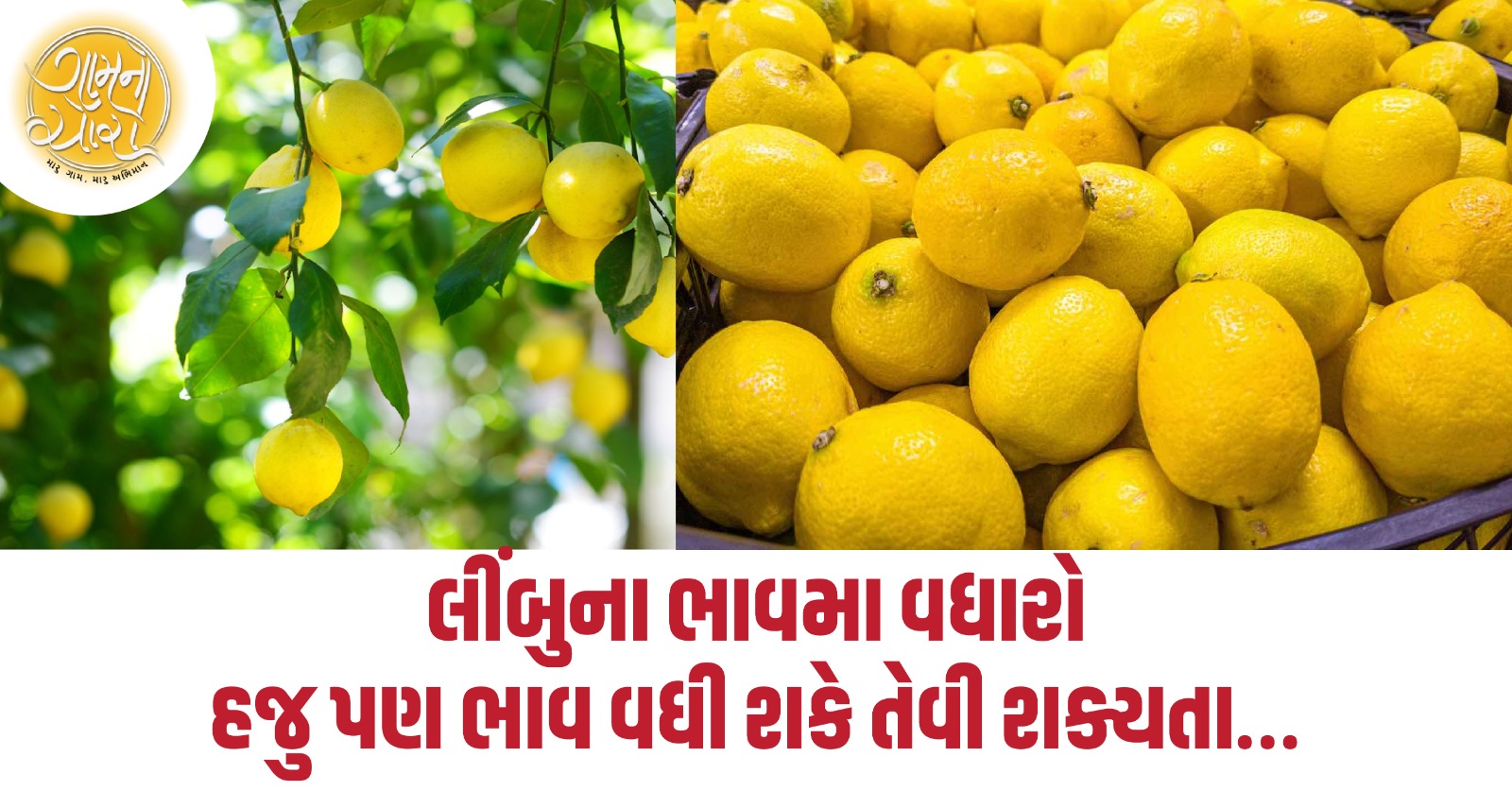 lemon price