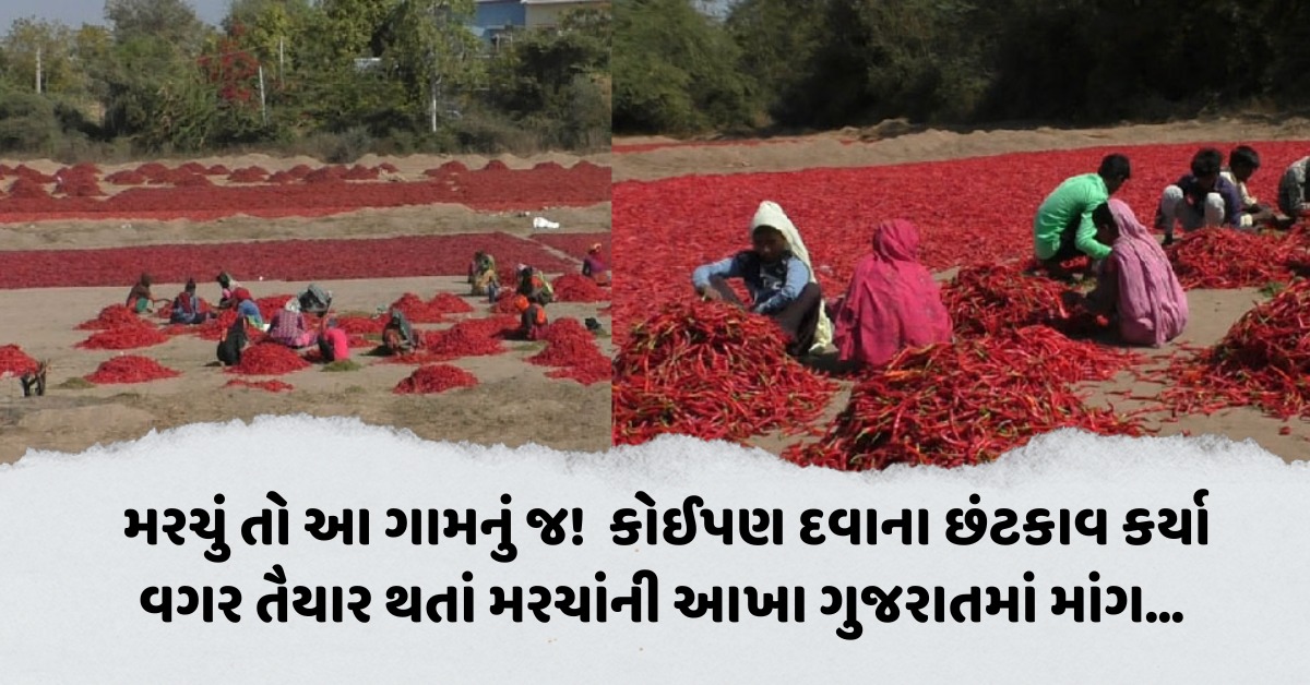 best chilli powder in india