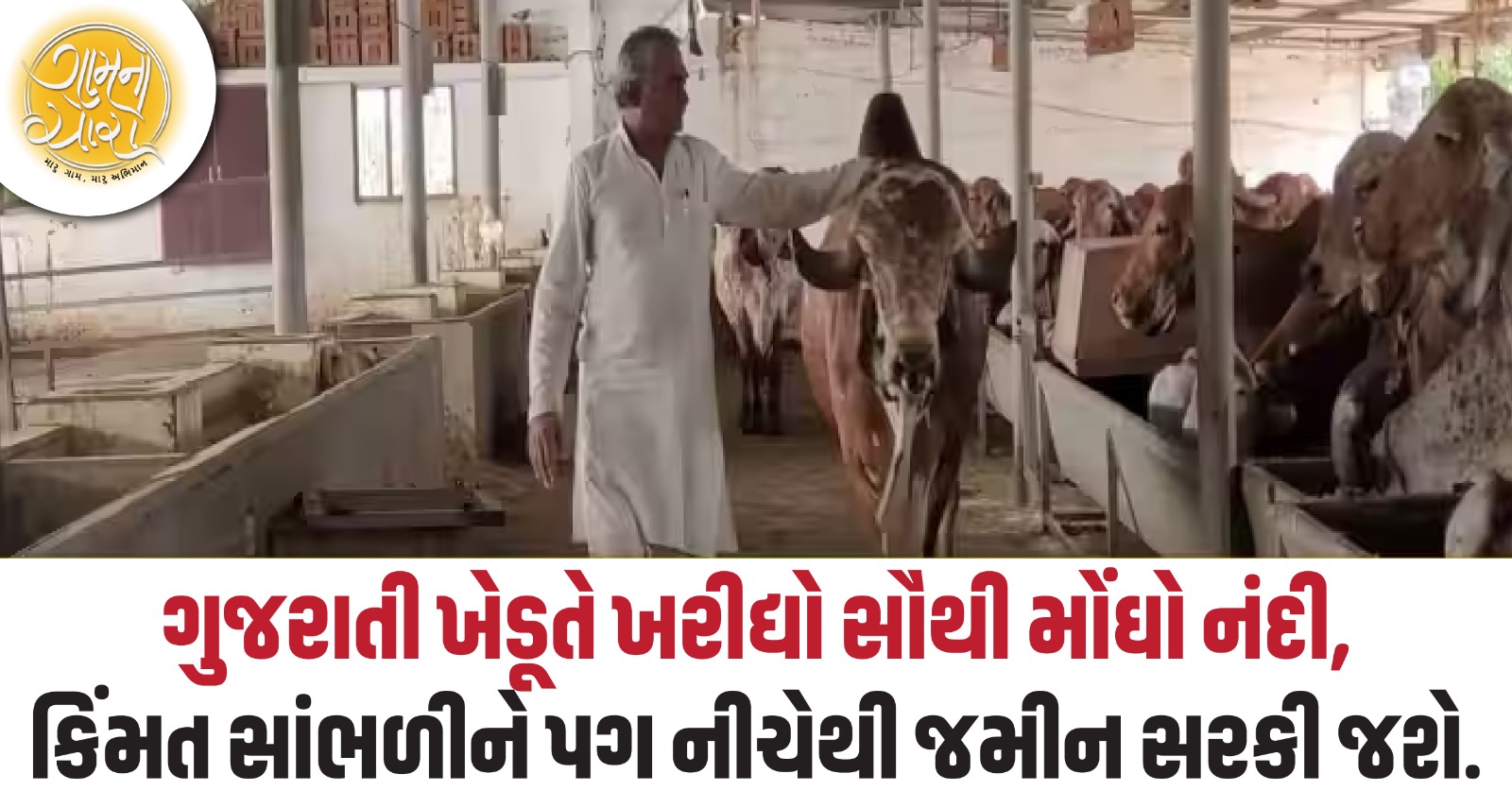 jetpur news