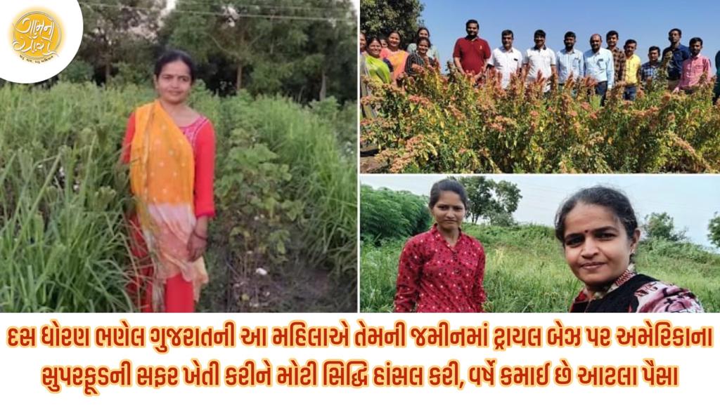 indian woman farming