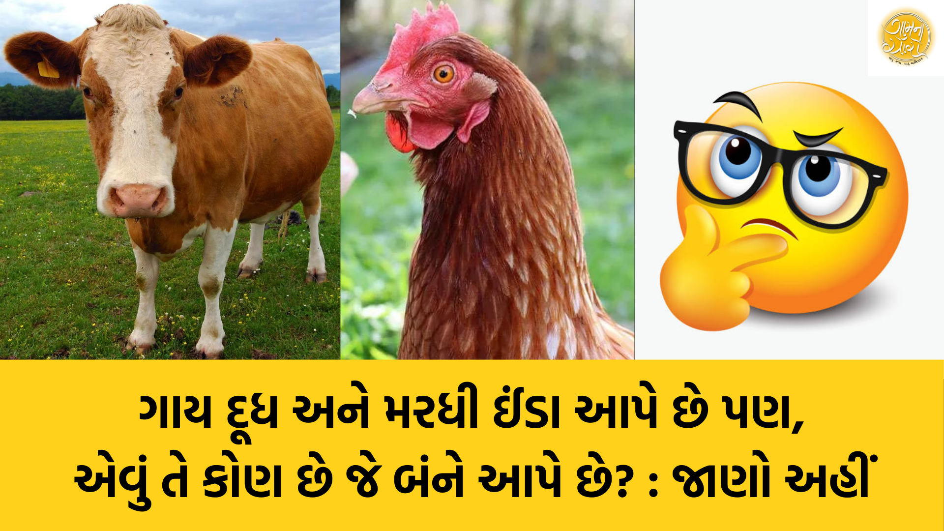 Gujarati Riddles | Gujarati Blogs | Gam no choro | Gujarati news | Divya Bhaskar | Gujarat samachar | Jamaat | Jalsa karo jentilal | Jalsa | Gujarati story | Gujarati jokes | Gujarat ni history | gujarati varta | gujarati funny jokes | gujarati inspirational story | gujarati love stories | gujarati moral stories | gujarati short stories | gujarati varta story | jokes gujarati funny | love story gujarati | Gujarati news | Gujarat| BAPS Hindu Mandir, Abu Dhabi | Gujarat news | sarangpur hanuman | Gujarati cinema | Film | mumbai samachar | dwarka | stay in us | stay in uk | Gujarati Blog | Gujarati Thoughts/Ideas | Gujarati Literature | Gujarati Culture | Gujarati Photography | Gujarati Poetry | Gujarati Music | Gujarati Films/Movies | Gujarati Stories | Gujarati Health | Gujarati Recipes | Gujarati Technology | Gujarati Sports | Gujarati Universities | Gujarati Riddles