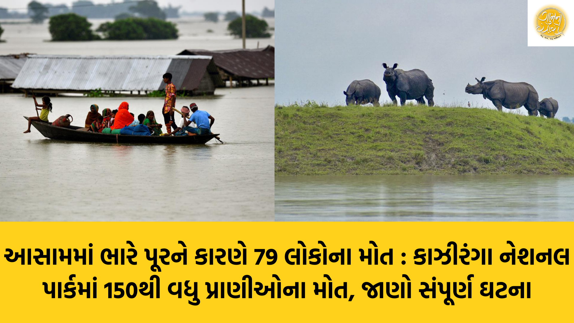 Assam Flood | Assam | Kaziranga National Park | Heavy Rainfall | Gam no choro | Gujarati news | Divya Bhaskar | Gujarat samachar | Jamaat | Jalsa karo jentilal | Jalsa | Gujarati story | Gujarati jokes | Gujarat ni history | gujarati varta | gujarati funny jokes | gujarati inspirational story | gujarati love stories | gujarati moral stories | gujarati short stories | gujarati varta story | jokes gujarati funny | love story gujarati | Gujarati news | Gujarat| BAPS Hindu Mandir, Abu Dhabi | Gujarat news | sarangpur hanuman | Gujarati cinema | Film | mumbai samachar | dwarka | stay in us | stay in uk | Gujarati Blog | Gujarati Thoughts/Ideas | Gujarati Literature | Gujarati Culture | Gujarati Photography | Gujarati Poetry | Gujarati Music | Gujarati Films/Movies | Gujarati Stories | Gujarati Health | Gujarati Recipes | Gujarati Technology | Gujarati Sports | Gujarati Universities | Gujarati Riddles