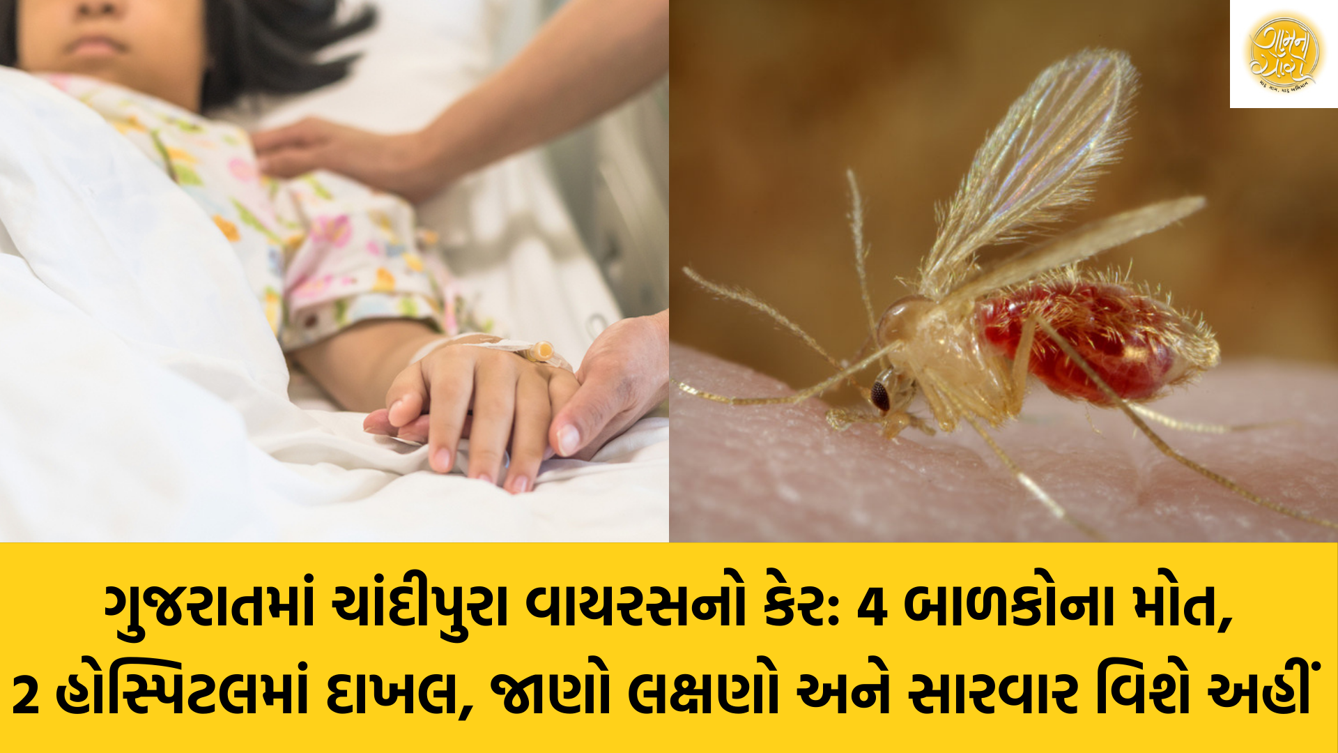 Chandipura virus | Gujarat | Health News | Gam no choro | Gujarati news | Divya Bhaskar | Gujarat samachar | Gujarati story | Gujarati jokes | Gujarat ni history | gujarati varta | gujarati funny jokes | gujarati inspirational story | gujarati love stories | gujarati moral stories | gujarati short stories | Gujarat news | Gujarati cinema | Film | Gujarati Blog | Gujarati Thoughts/Ideas | Gujarati Literature | Gujarati Culture | Gujarati Photography | Gujarati Poetry | Gujarati Music | Gujarati Films/Movies | Gujarati Stories | Gujarati Health | Gujarati Recipes | Gujarati Technology | Gujarati Sports | Gujarati Universities