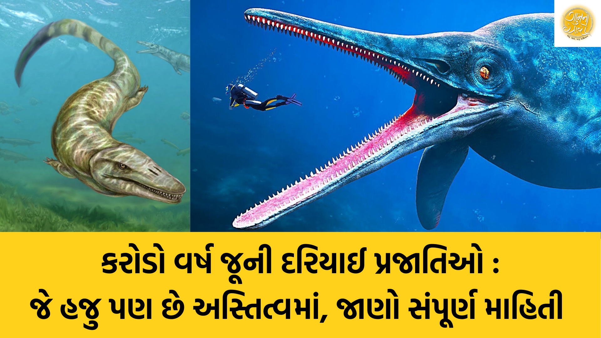 Ocean Creature | Prehistoric Ocean Species | Jellyfish | Ocean | Horseshoe Crab | Gam no choro | Gujarati news | Divya Bhaskar | Gujarat samachar | Gujarati story | Gujarati jokes | Gujarat ni history | gujarati varta | gujarati funny jokes | gujarati inspirational story | gujarati love stories | gujarati moral stories | gujarati short stories | Gujarat news | Gujarati cinema | Film | Gujarati Blog | Gujarati Thoughts/Ideas | Gujarati Literature | Gujarati Culture | Gujarati Photography | Gujarati Poetry | Gujarati Music | Gujarati Films/Movies | Gujarati Stories | Gujarati Health | Gujarati Recipes | Gujarati Technology | Gujarati Sports | Gujarati Universities