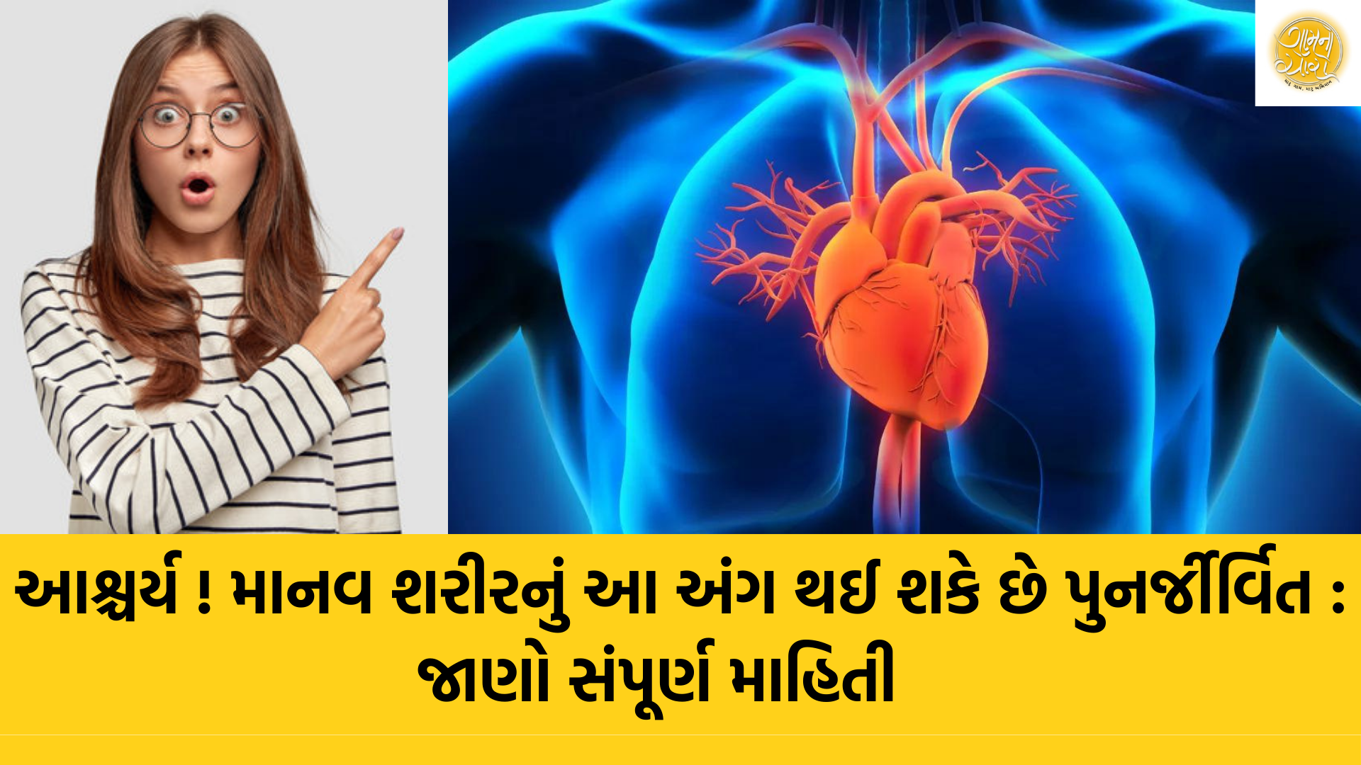 Human Liver | Human Body | human Body facts | Gam no choro | Gujarati news | Divya Bhaskar | Gujarat samachar | Gujarati story | Gujarati jokes | Gujarat ni history | gujarati varta | gujarati funny jokes | gujarati inspirational story | gujarati love stories | gujarati moral stories | gujarati short stories | Gujarat news | Gujarati cinema | Film | Gujarati Blog | Gujarati Thoughts/Ideas | Gujarati Literature | Gujarati Culture | Gujarati Photography | Gujarati Poetry | Gujarati Music | Gujarati Films/Movies | Gujarati Stories | Gujarati Health | Gujarati Recipes | Gujarati Technology | Gujarati Sports | Gujarati Universities