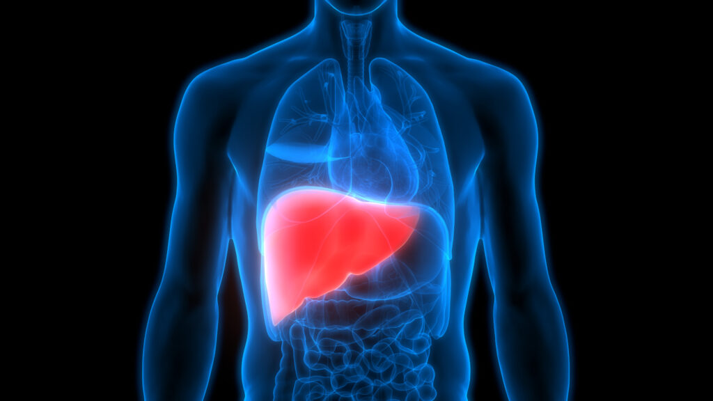 Human Liver | Human Body | human Body facts | Gam no choro | Gujarati news | Divya Bhaskar | Gujarat samachar | Gujarati story | Gujarati jokes | Gujarat ni history | gujarati varta | gujarati funny jokes | gujarati inspirational story | gujarati love stories | gujarati moral stories | gujarati short stories | Gujarat news | Gujarati cinema | Film | Gujarati Blog | Gujarati Thoughts/Ideas | Gujarati Literature | Gujarati Culture | Gujarati Photography | Gujarati Poetry | Gujarati Music | Gujarati Films/Movies | Gujarati Stories | Gujarati Health | Gujarati Recipes | Gujarati Technology | Gujarati Sports | Gujarati Universities