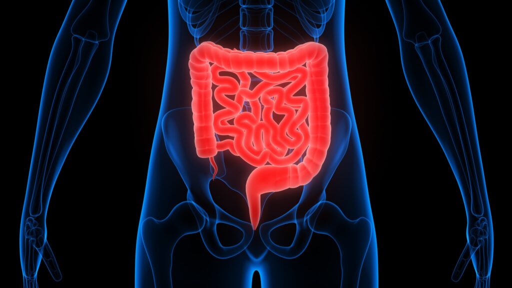 Human Liver | Human Body | human Body facts | Gam no choro | Gujarati news | Divya Bhaskar | Gujarat samachar | Gujarati story | Gujarati jokes | Gujarat ni history | gujarati varta | gujarati funny jokes | gujarati inspirational story | gujarati love stories | gujarati moral stories | gujarati short stories | Gujarat news | Gujarati cinema | Film | Gujarati Blog | Gujarati Thoughts/Ideas | Gujarati Literature | Gujarati Culture | Gujarati Photography | Gujarati Poetry | Gujarati Music | Gujarati Films/Movies | Gujarati Stories | Gujarati Health | Gujarati Recipes | Gujarati Technology | Gujarati Sports | Gujarati Universities